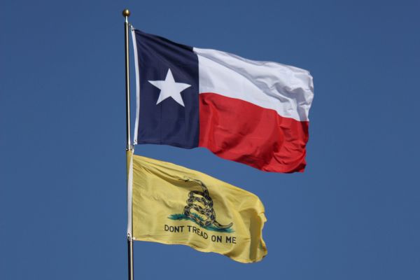 Gadsden and Texas Flag